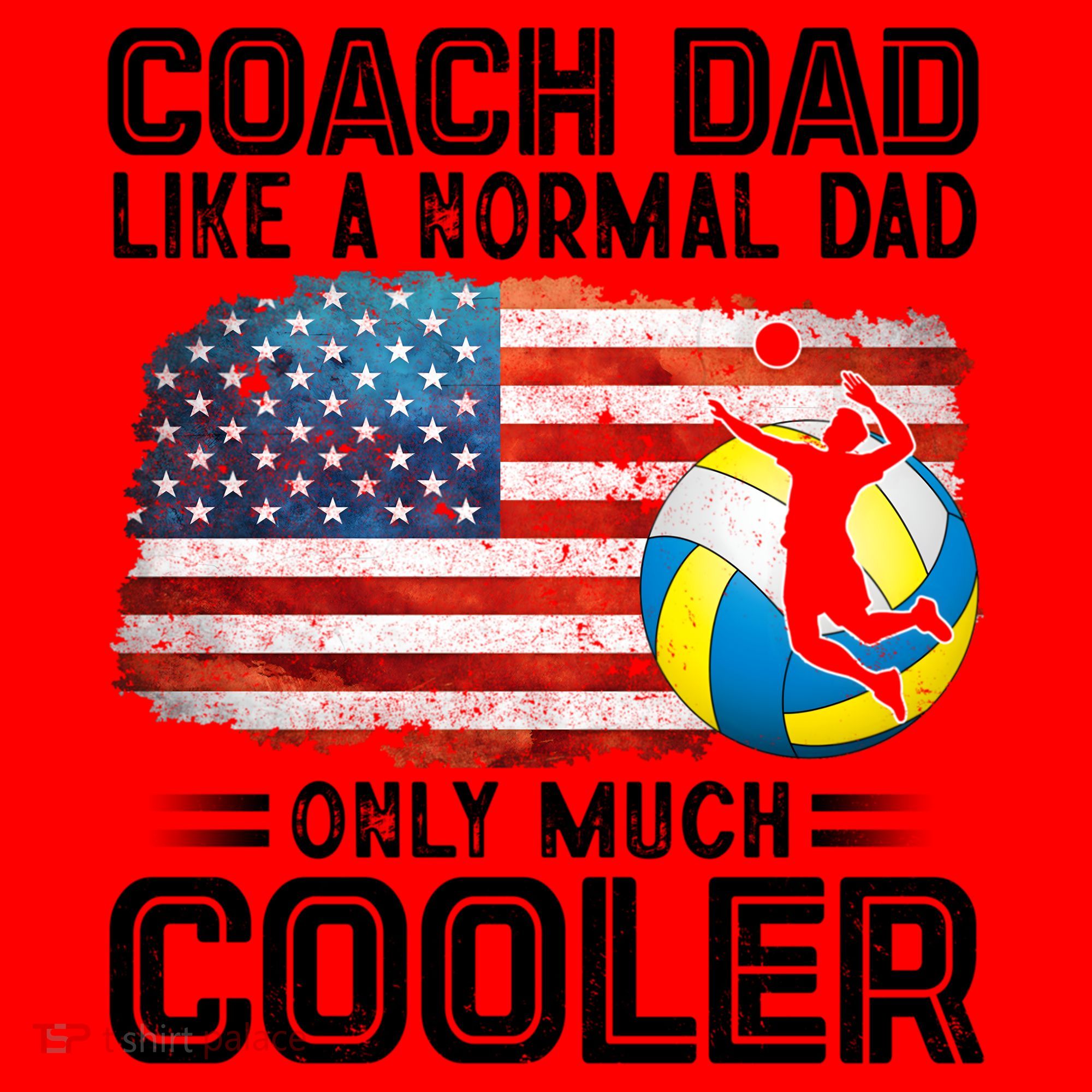 Volleyball Coach Dad Volleyball Players American Flag Gift Santa Hat