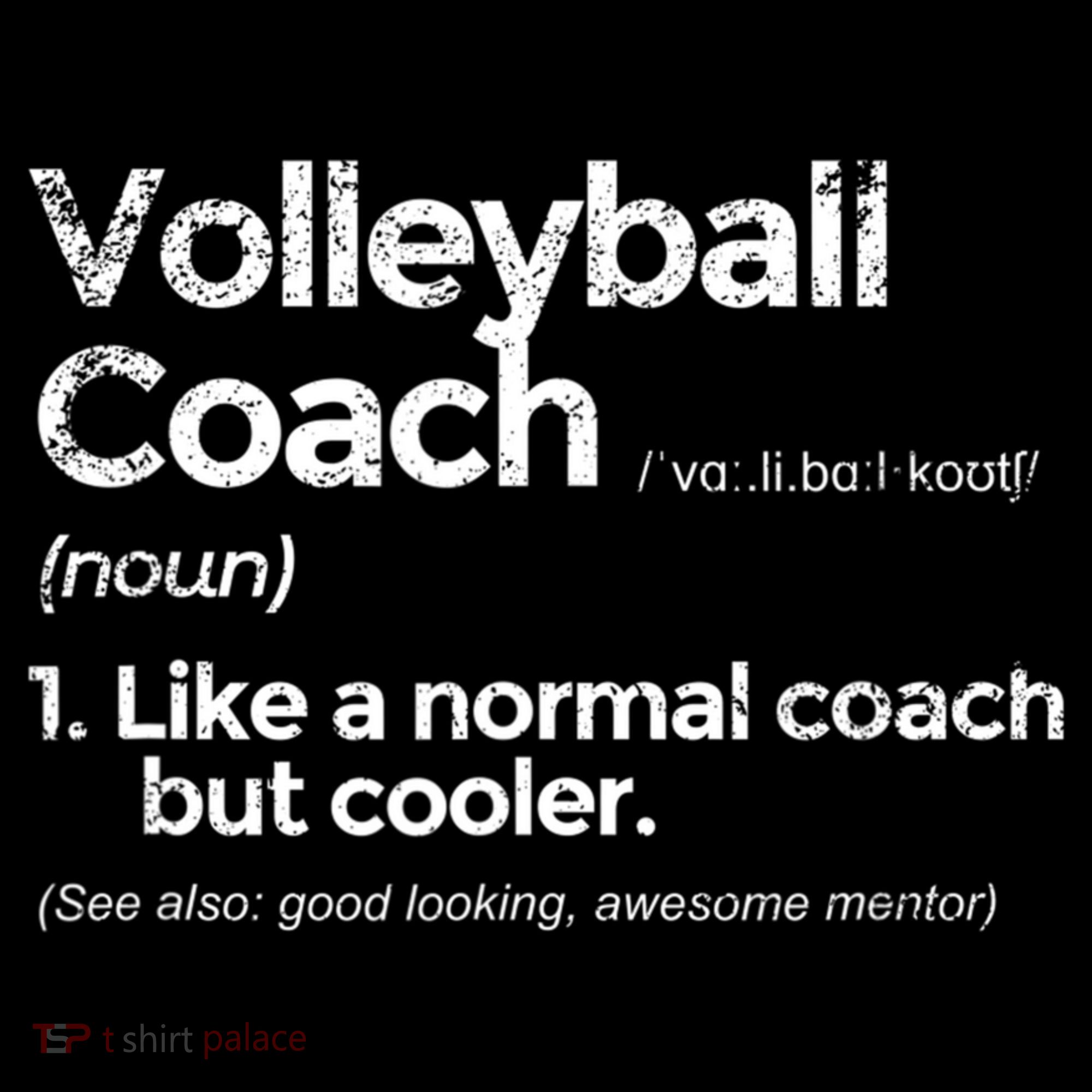 Volleyball Coach Definition Funny Gift Apron