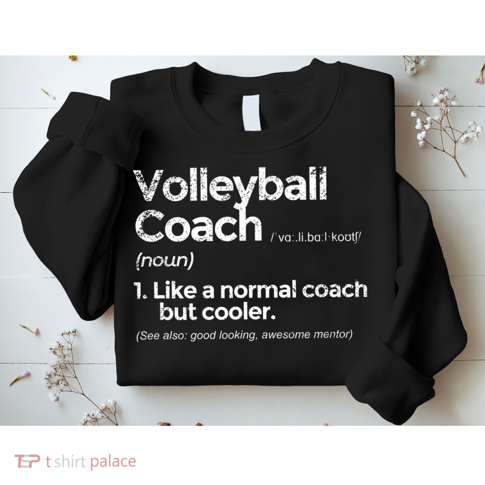 Volleyball Coach Definition Funny Gift Sweatshirt