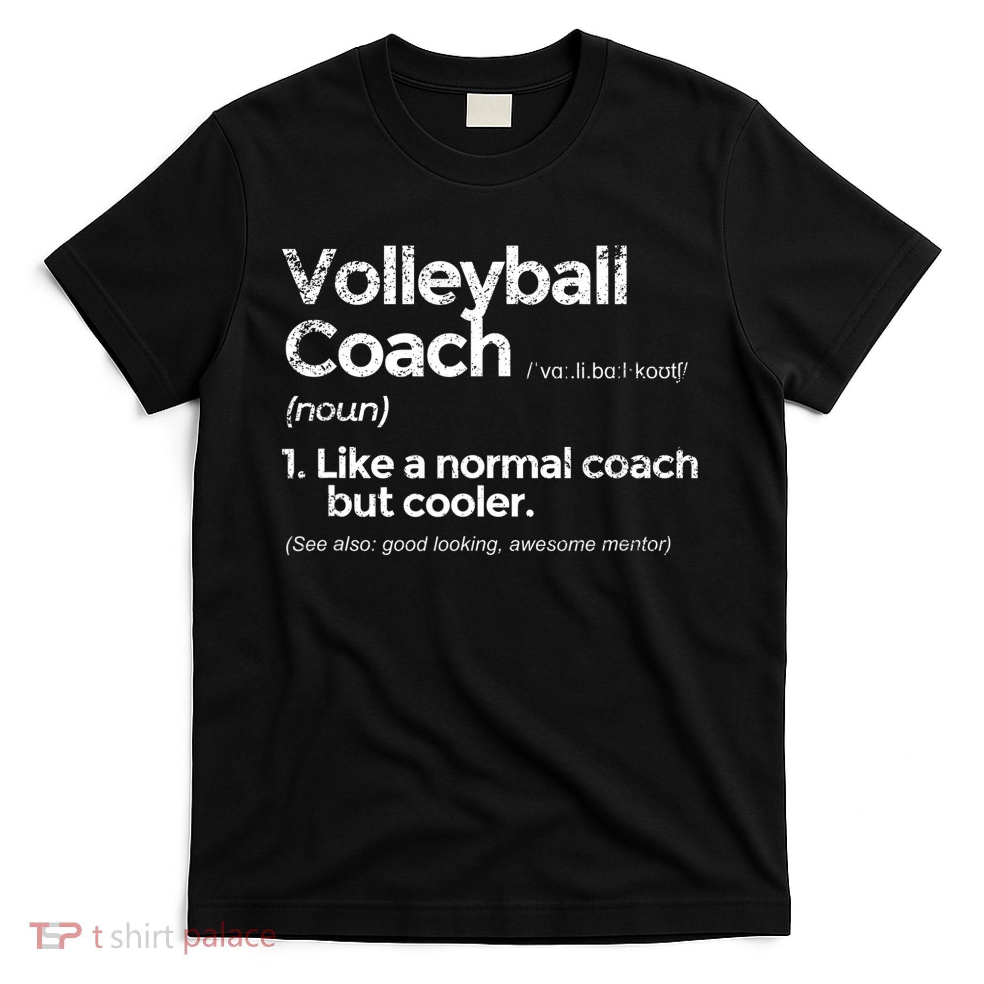 Volleyball Coach Definition Funny Gift T-Shirt