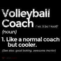 Volleyball Coach Definition Funny Gift Ornament thumb 1