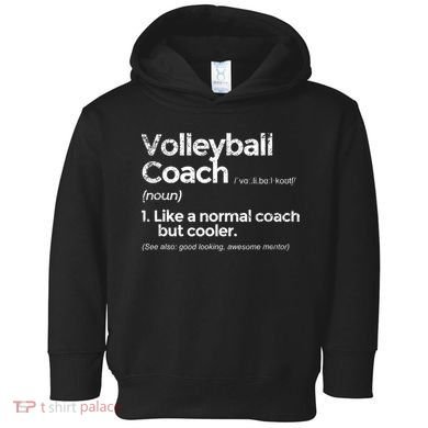 Volleyball Coach Definition Funny Gift Toddler Hoodie