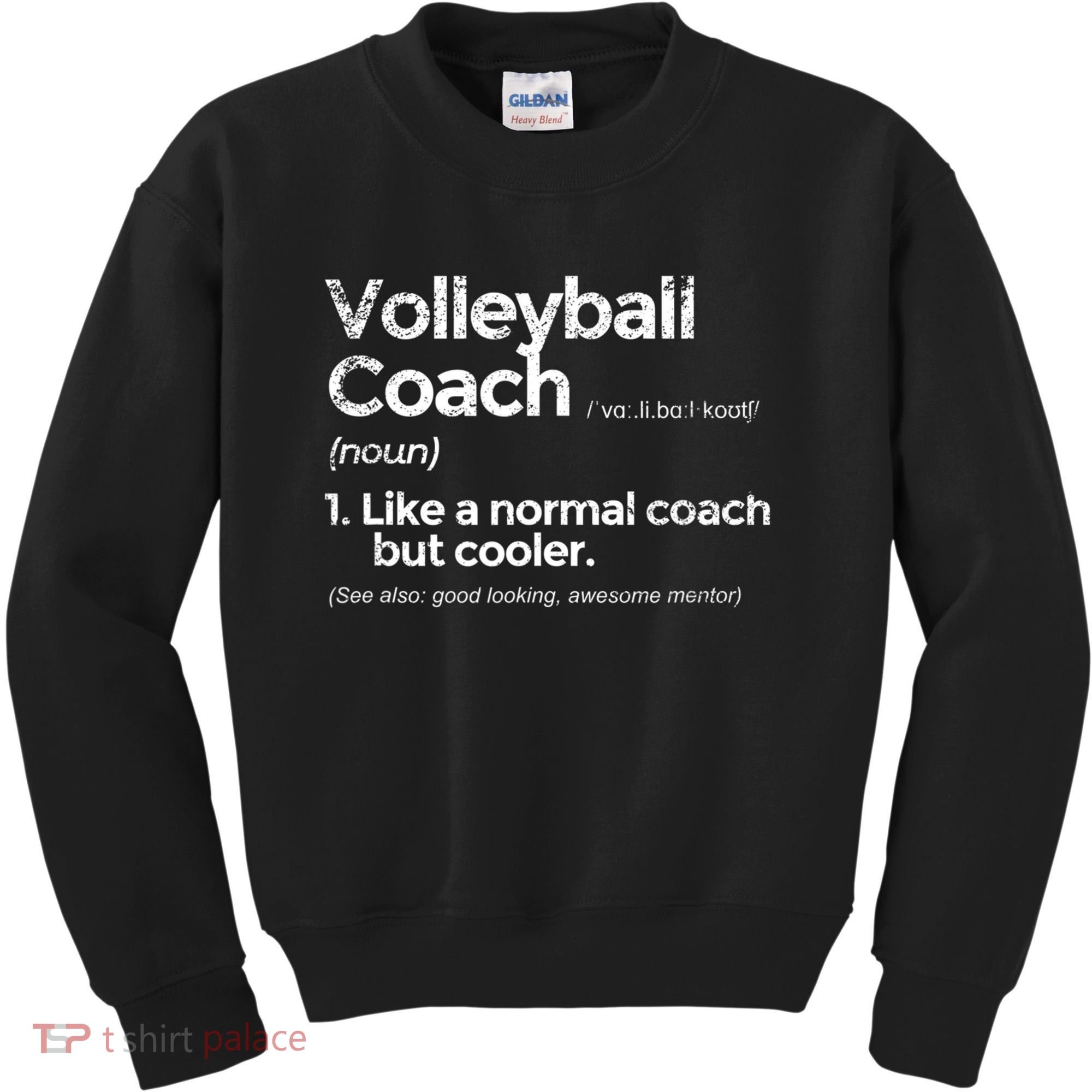 Volleyball Coach Definition Funny Gift Kids Sweatshirt