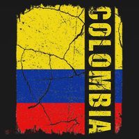 Vintage Colombian Flag Colombia Pride Roots Heritage Gift T-Shirt thumb 7
