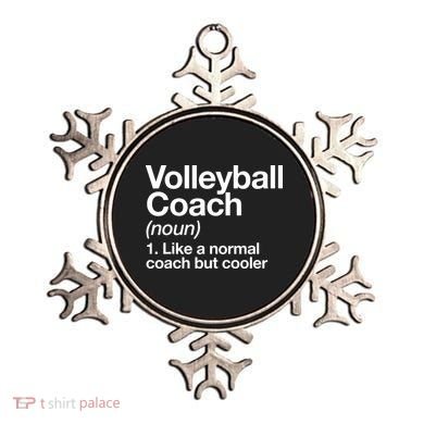 Volleyball Coach Funny Sports Definition Trainer Instructor Ornament