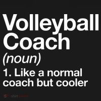 Volleyball Coach Funny Sports Definition Trainer Instructor Ornament thumb 1