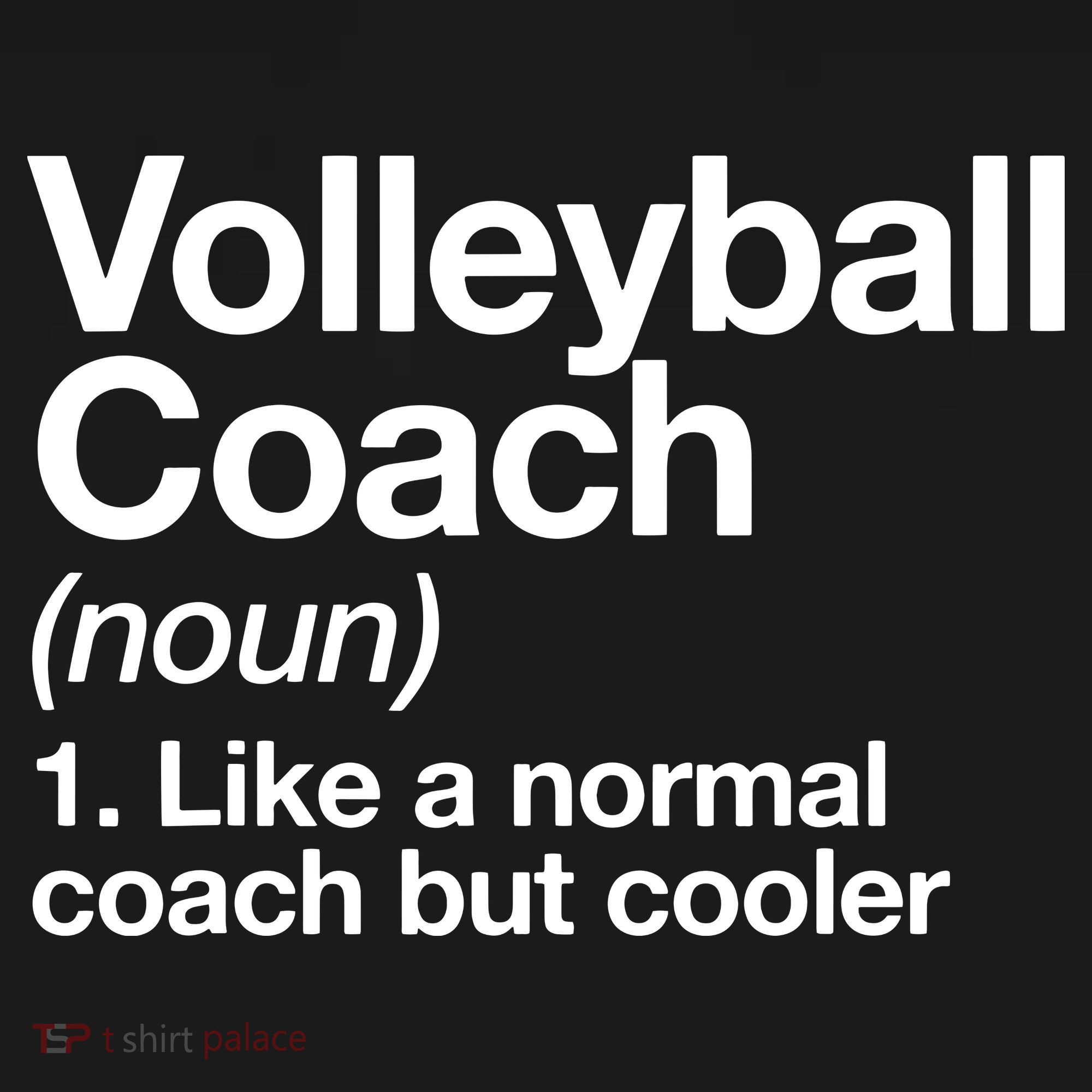 Volleyball Coach Funny Sports Definition Trainer Instructor Ornament
