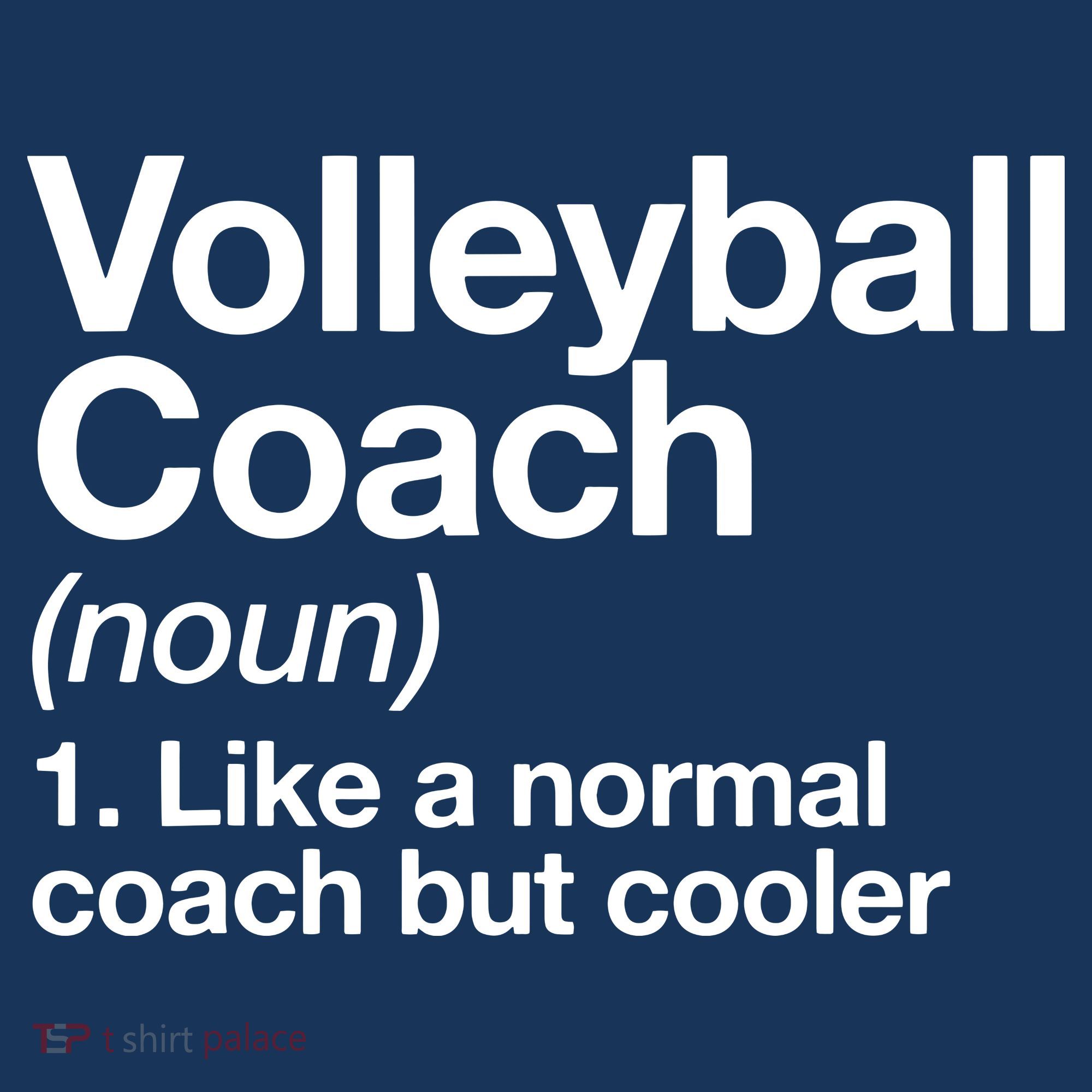 Volleyball Coach Funny Sports Definition Trainer Instructor Hoodie