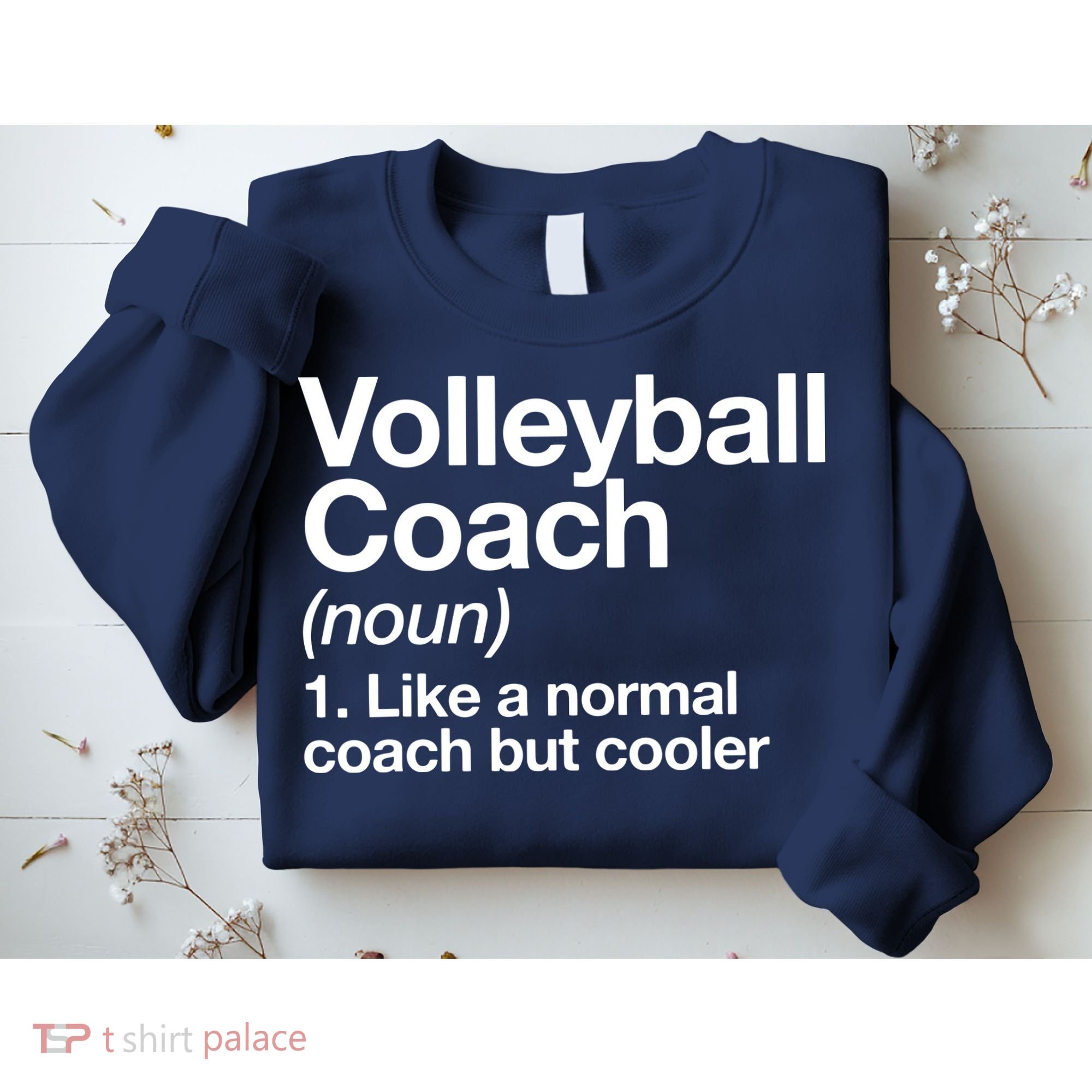 Volleyball Coach Funny Sports Definition Trainer Instructor Sweatshirt