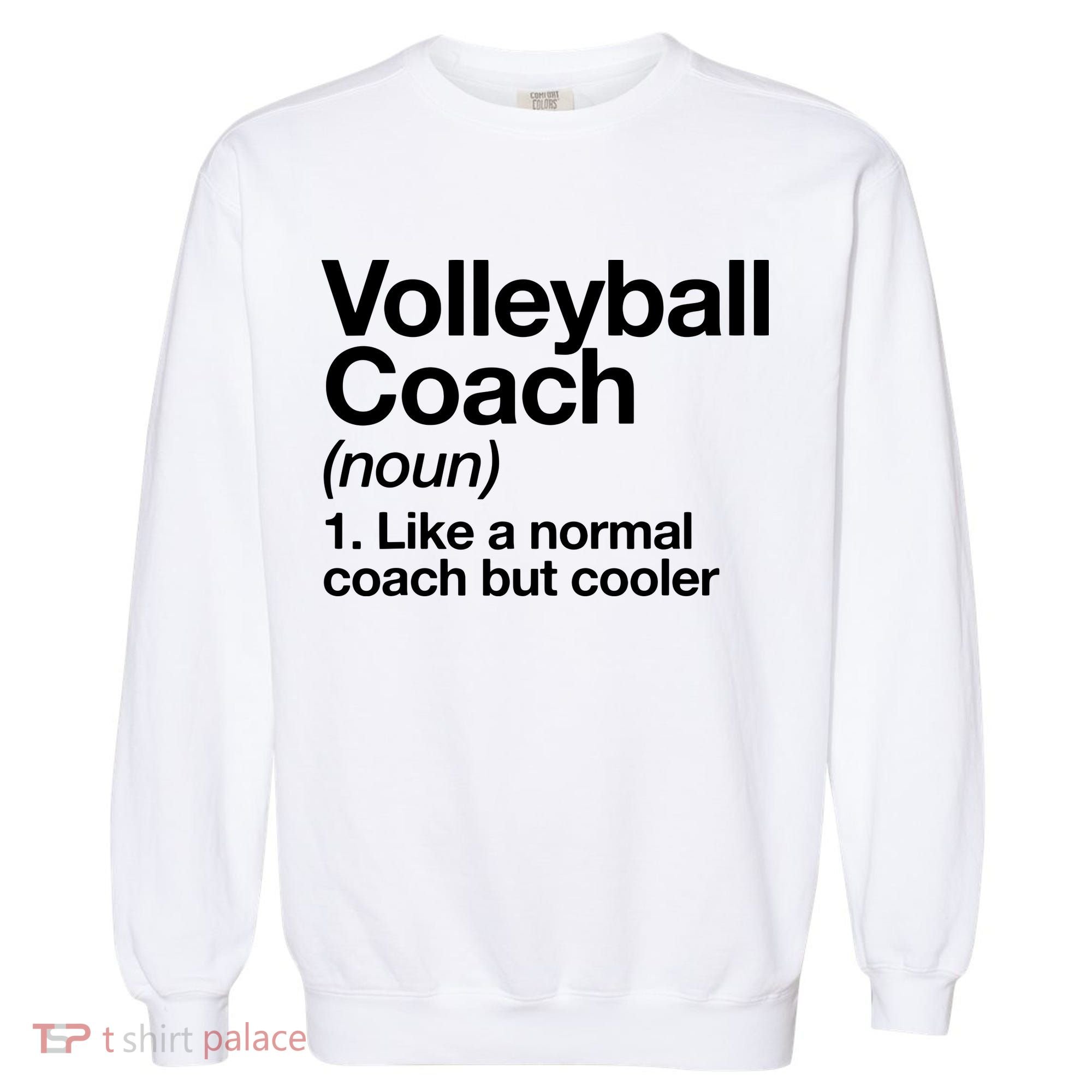 Volleyball Coach Funny Sports Definition Trainer Instructor Garment-Dyed Sweatshirt