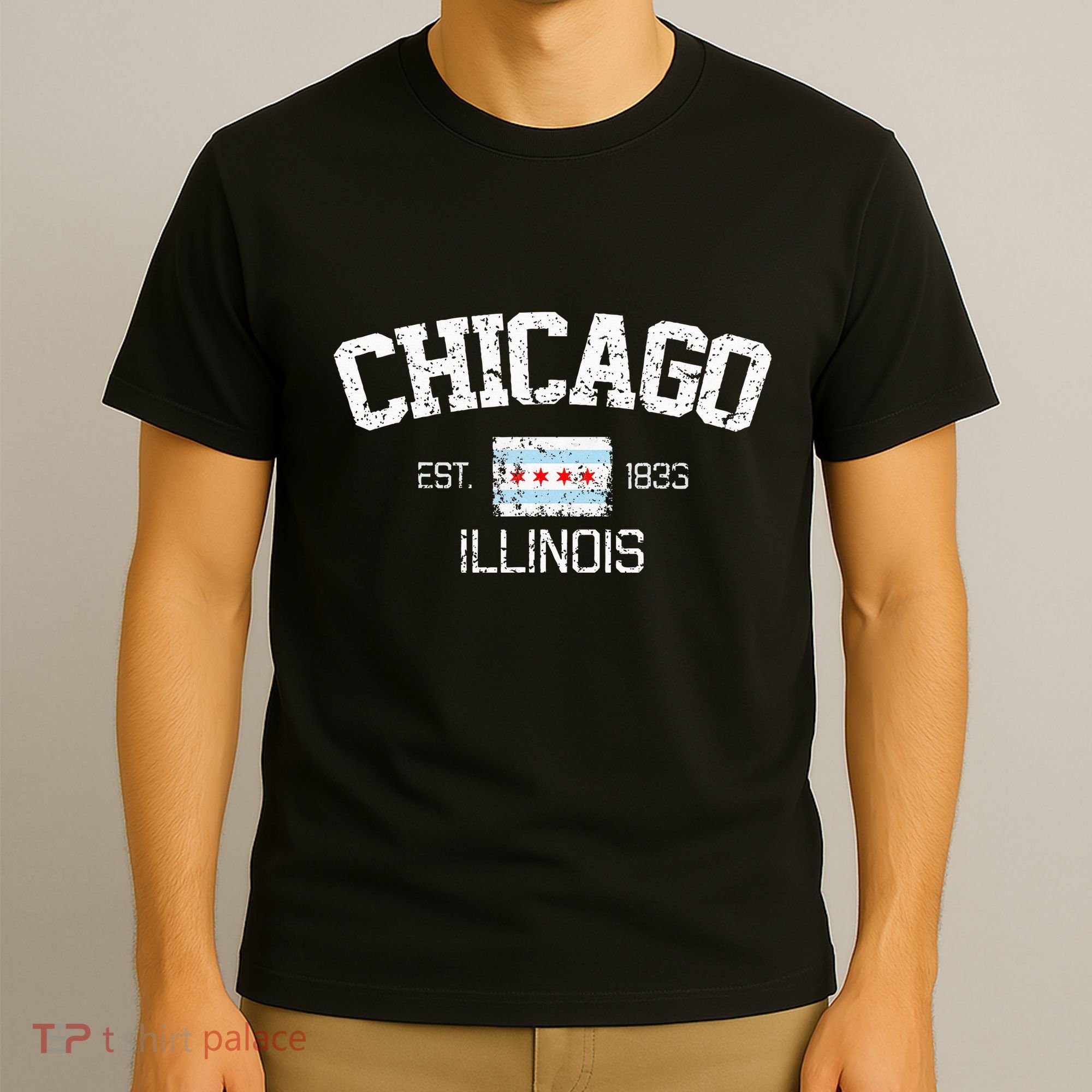 Vintage Chicago Illinois Est. 1833 Gift T-Shirt