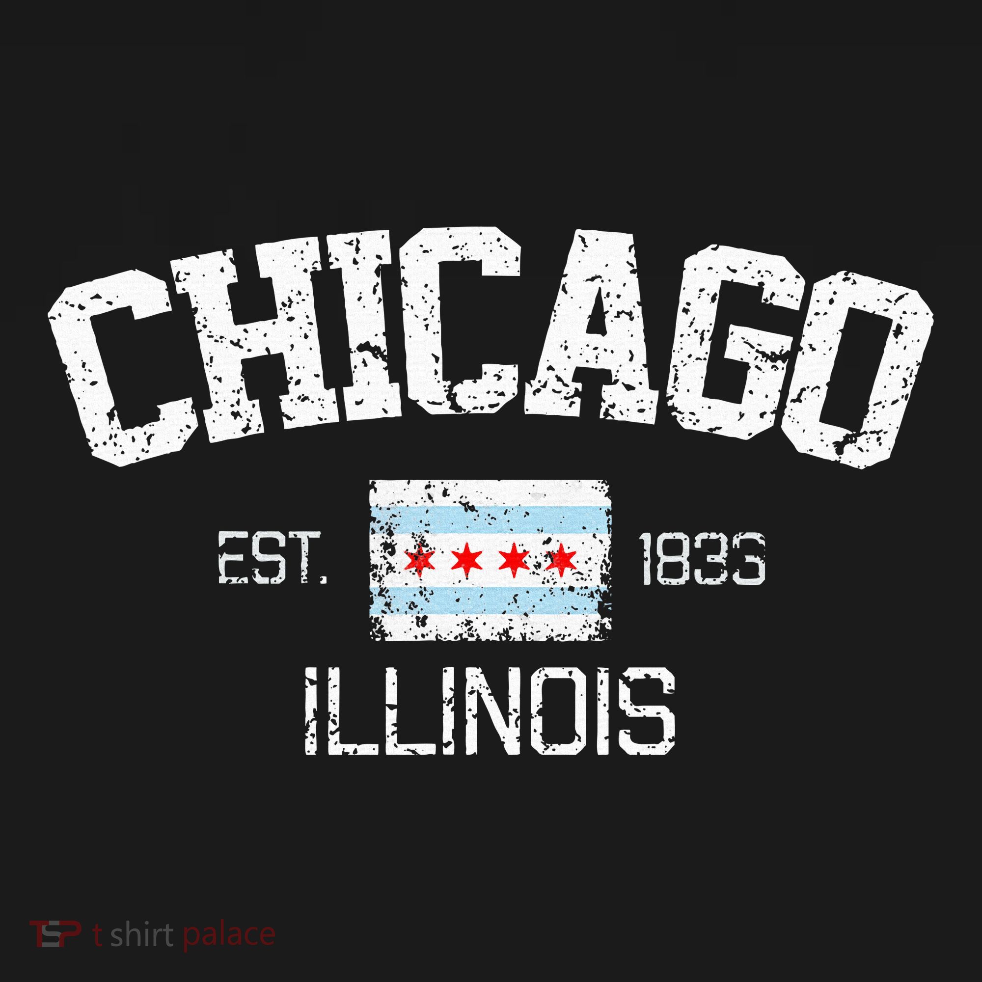Vintage Chicago Illinois Est. 1833 Gift T-Shirt