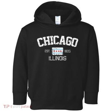 Vintage Chicago Illinois Est. 1833 Gift Toddler Hoodie