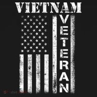 Vietnam Combat Veteran Flag Patriotic Veterans Day Gift Women's Hoodie thumb 2