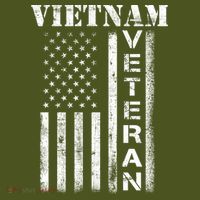 Vietnam Combat Veteran Flag Patriotic Veterans Day Gift Kids Hoodie thumb 2