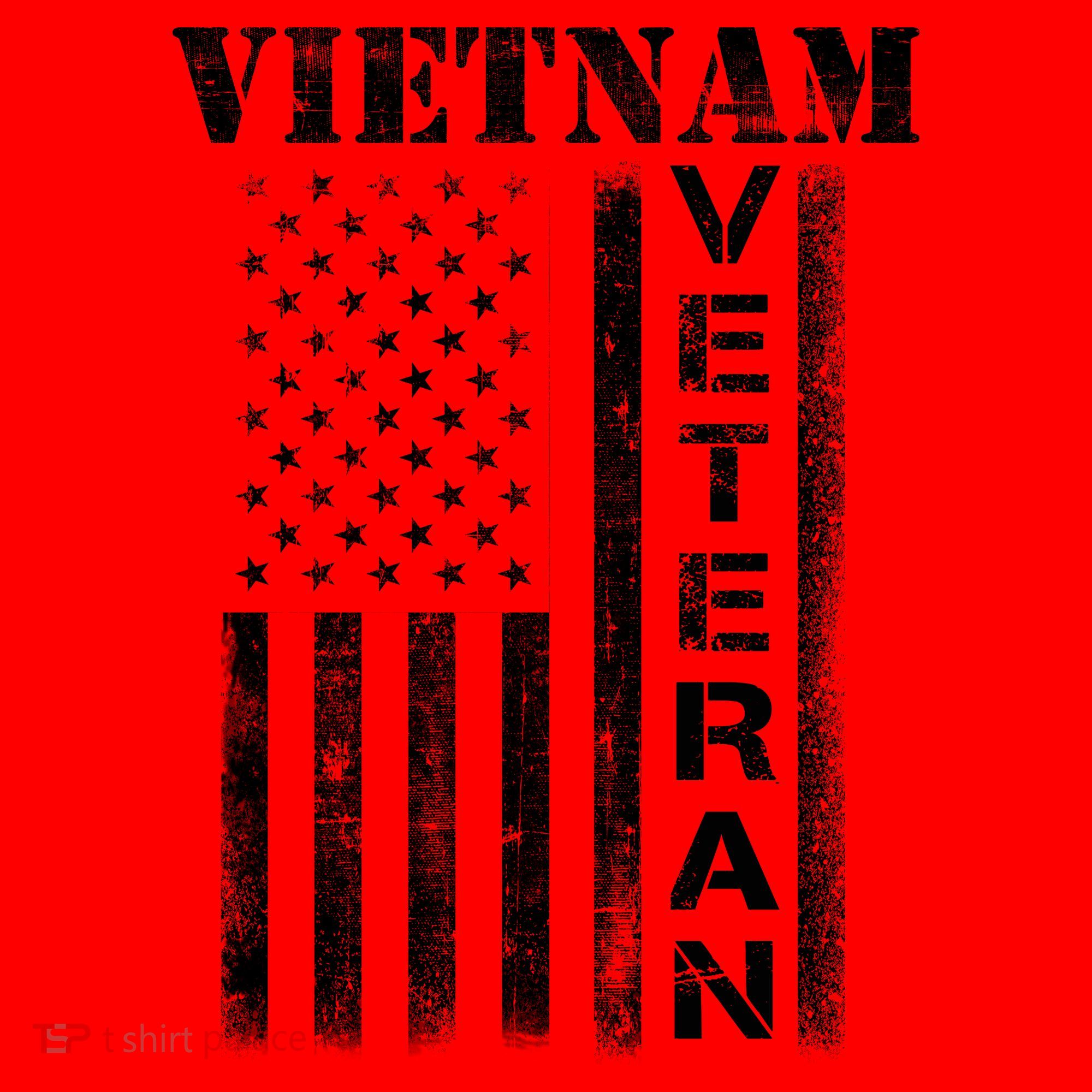 Vietnam Combat Veteran Flag Patriotic Veterans Day Gift Santa Hat