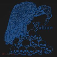 Vulture Cool Vulture Skull Graphic Coaster thumb 2
