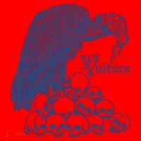 Vulture Cool Vulture Skull Graphic Santa Hat thumb 1