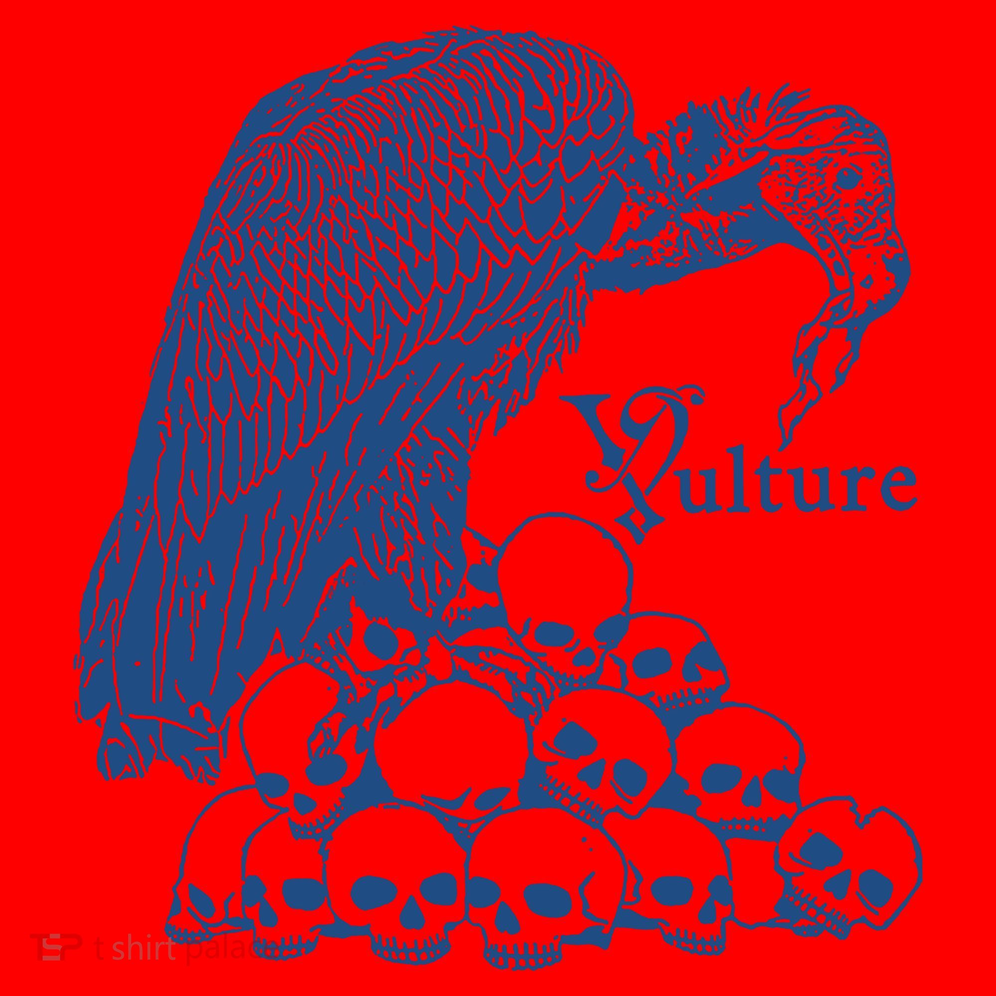 Vulture Cool Vulture Skull Graphic Santa Hat