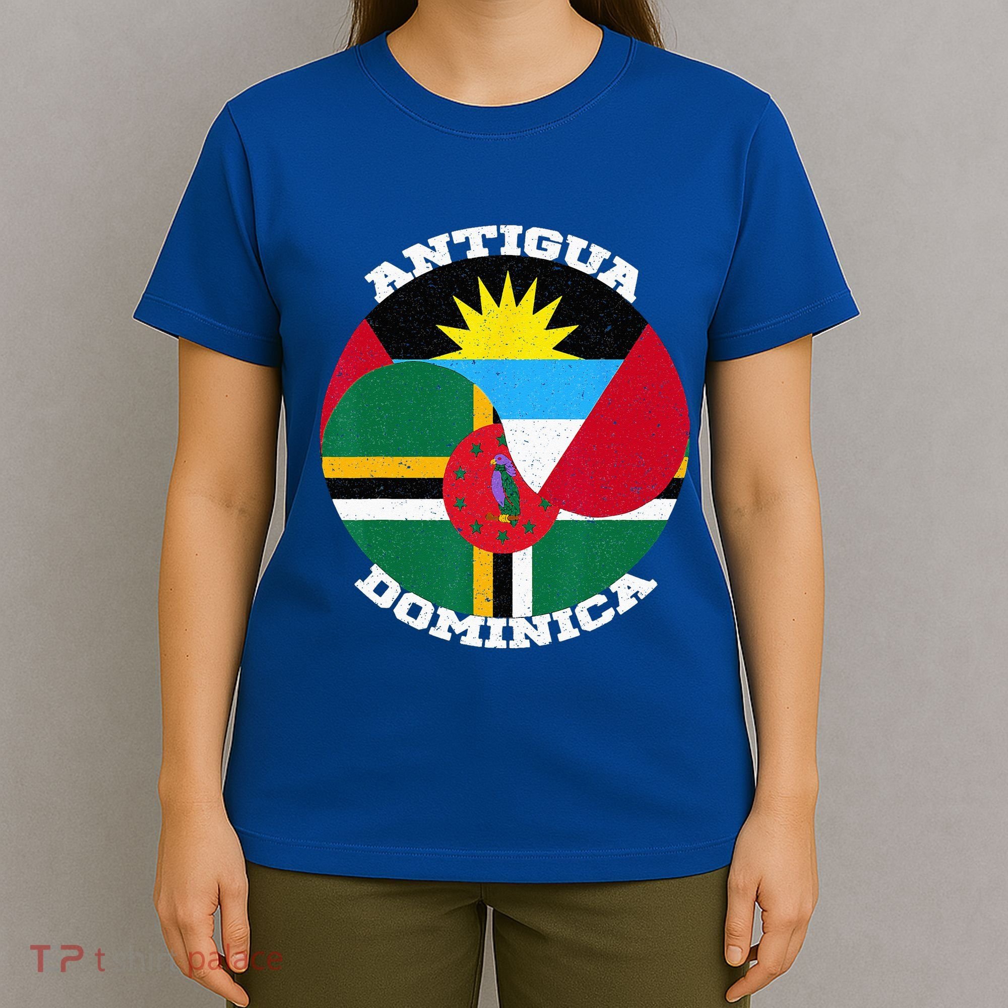 Vintage Dominica Antiguan Flag Antigua Dominica Flag T-Shirt