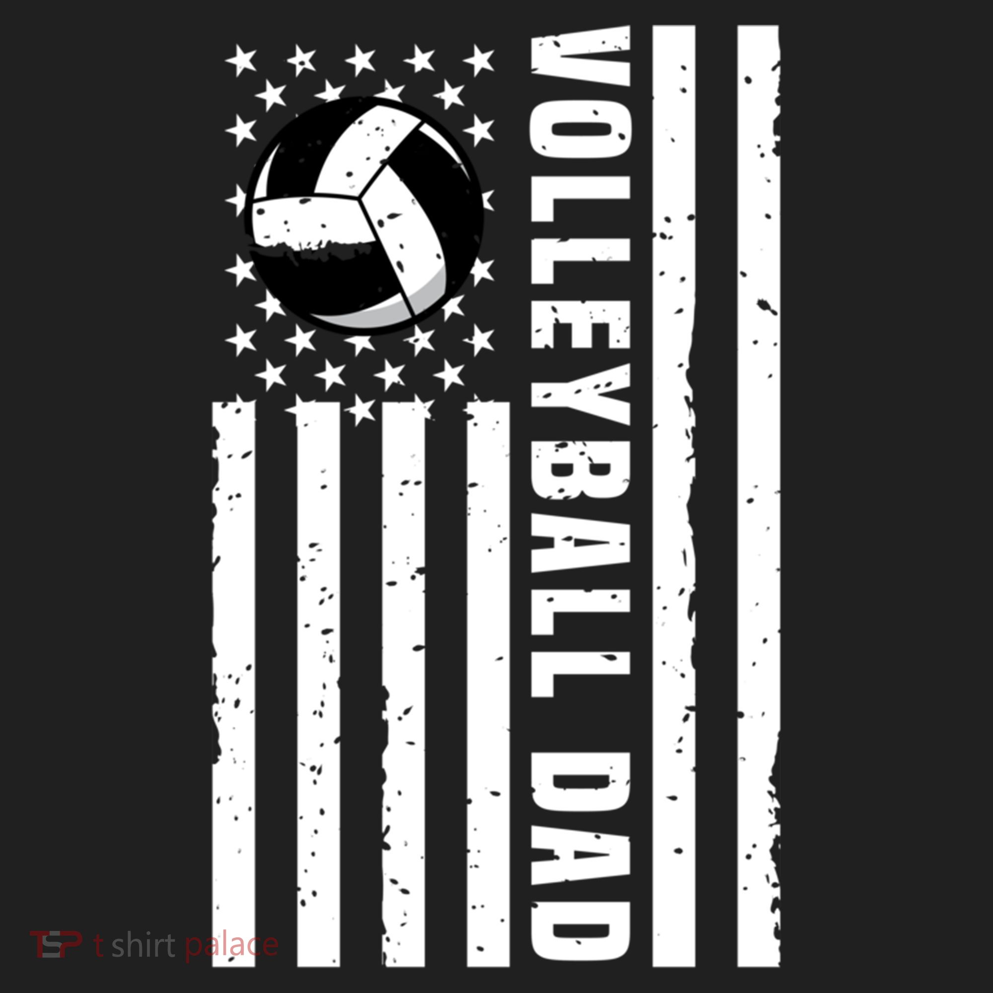 Volleyball Dad Coach Retro American Flag Gift For A Dad Gift Hat