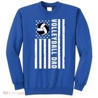 Volleyball Dad Coach Retro American Flag Gift For A Dad Gift Sweatshirt thumb 0