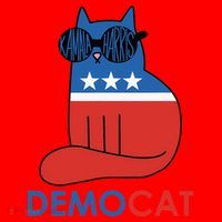 Vote Democat Cat Democrat Liberal Cat Lover Funny Santa Hat thumb 1