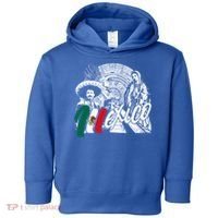 Virgen De Guadalupe And History Gift Toddler Hoodie thumb 0
