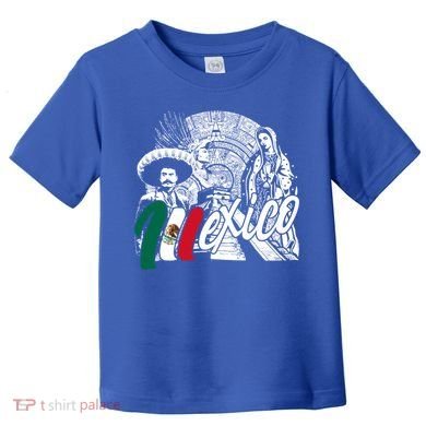 Virgen De Guadalupe And History Gift Toddler T-Shirt