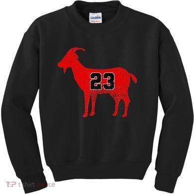 Vintage Distressed GOAT 23 Apparel Short Sleeve Kids Sweatshirt