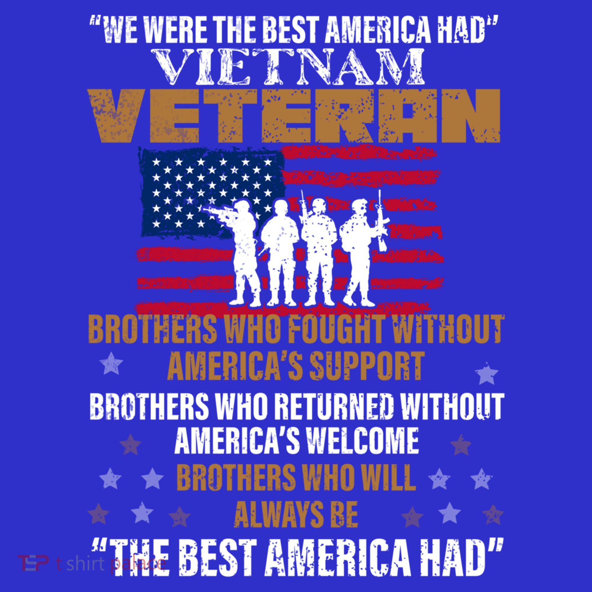 Veterans Day Gift Vietnam Veteran The Best America Had Funny Gift T-Shirt