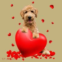 Valentines Day Golden Doodle Heart Dog Lovers Hoodie thumb 2