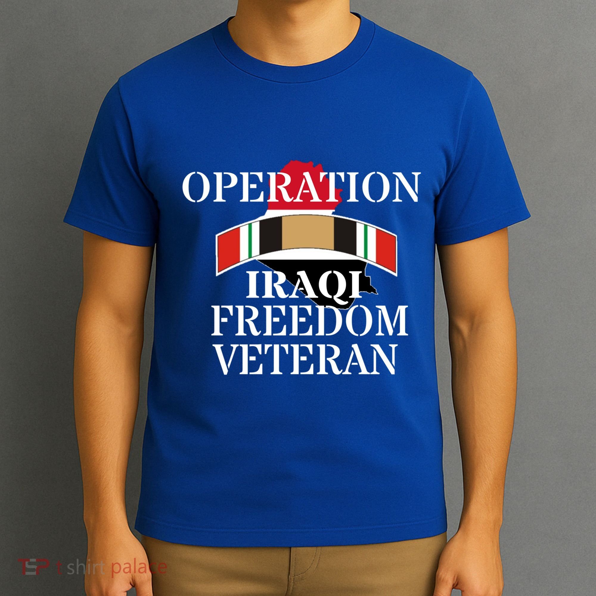 Veterans Day Iraq War Service Ribbon Iraq War Veteran Cool Gift T-Shirt