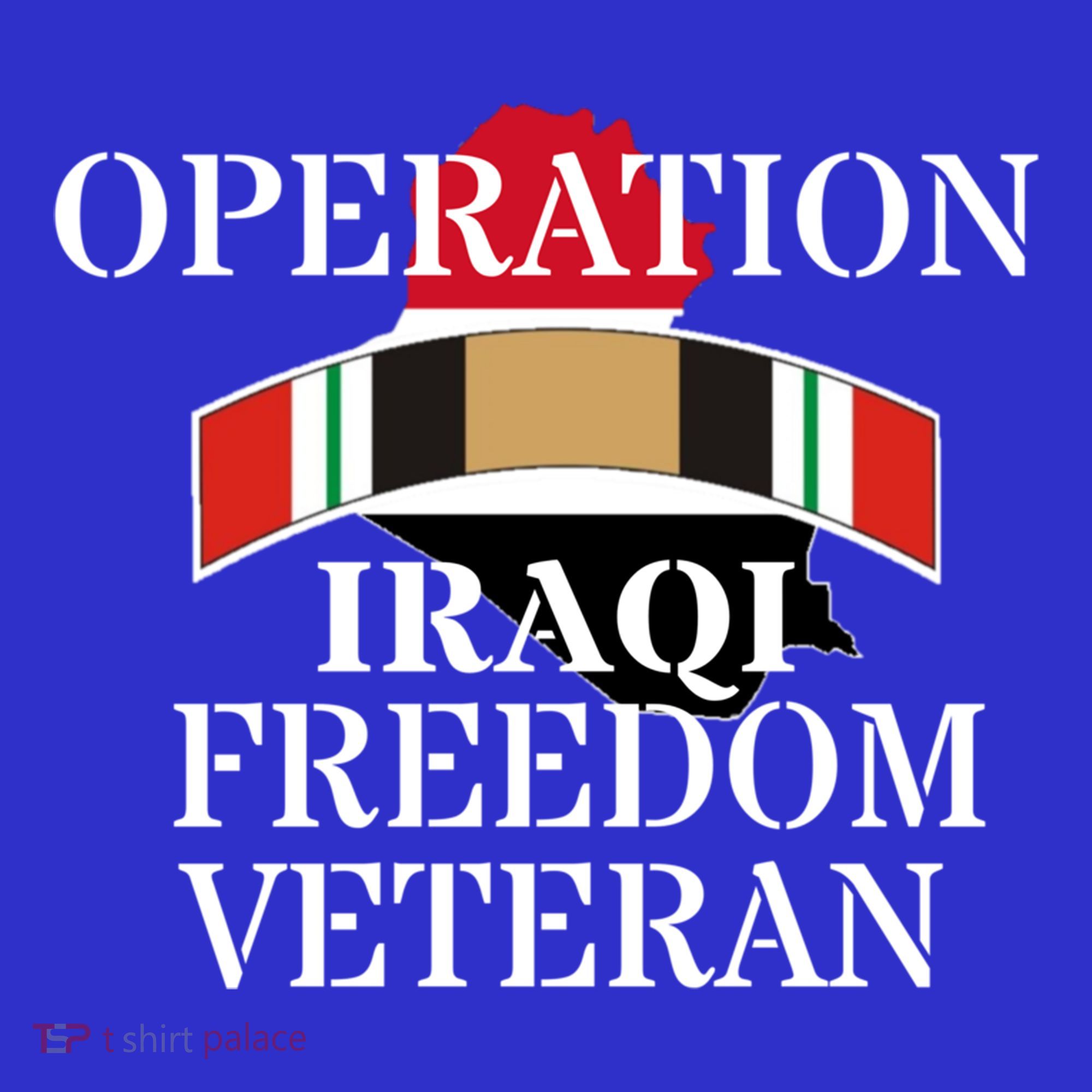Veterans Day Iraq War Service Ribbon Iraq War Veteran Cool Gift T-Shirt