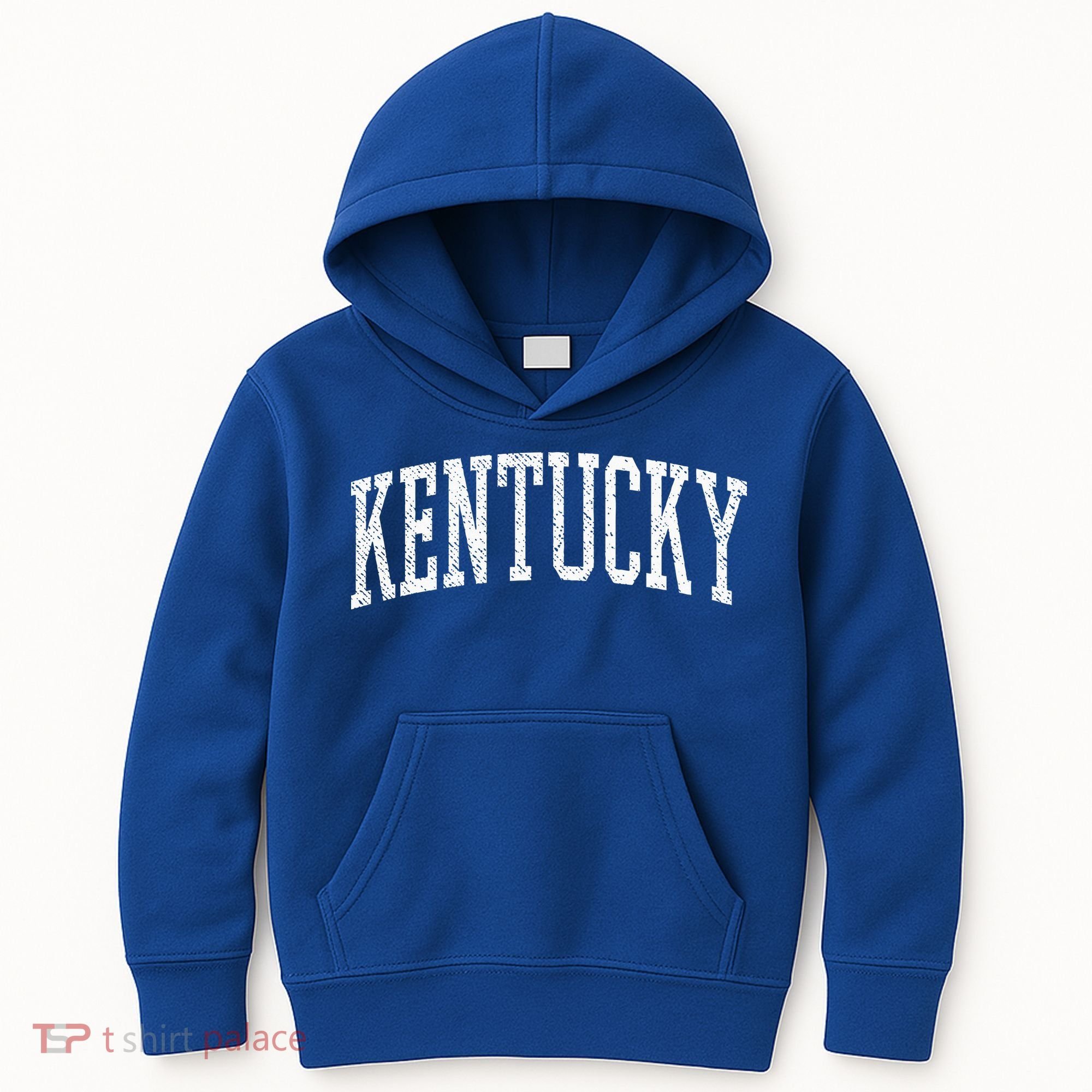 Varsity Distressed Kentucky Kids Hoodie