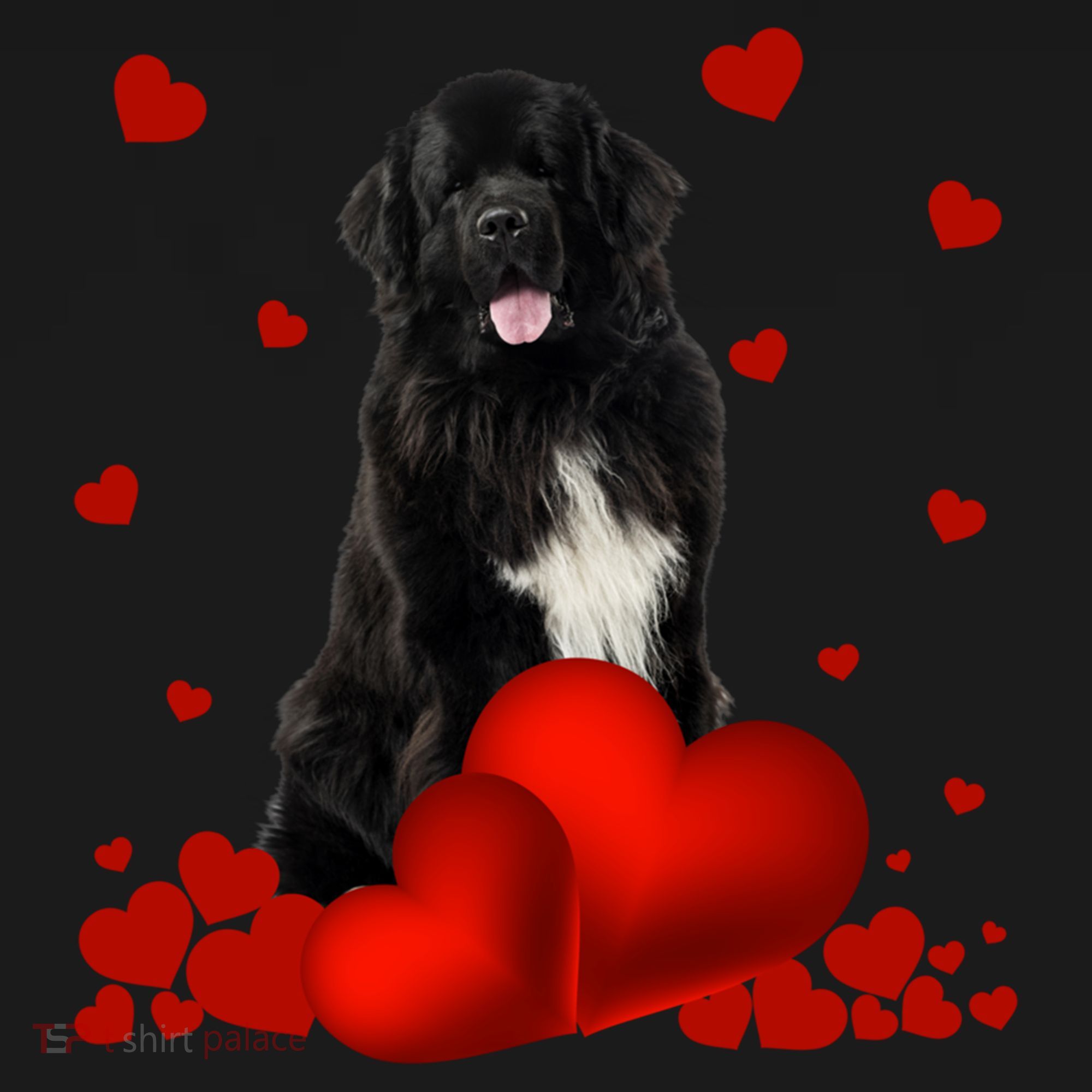 Valentines Day Love Hearts Newfoundland Dog Puppy Lover Gift Women's Hoodie