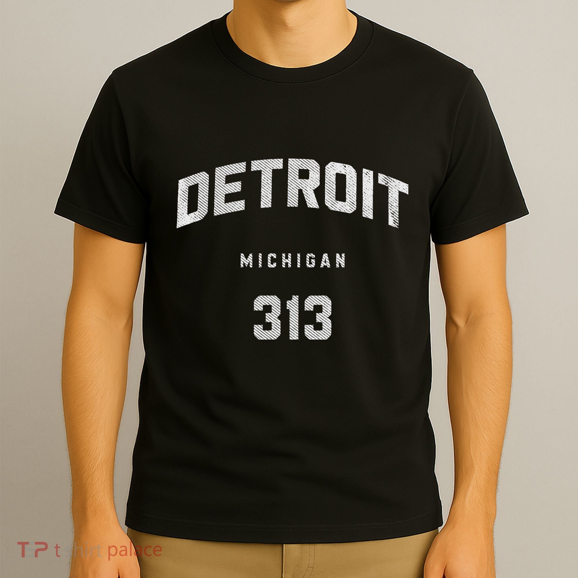Vintage Detroit Michigan 313 Area Code Souvenir T-Shirt