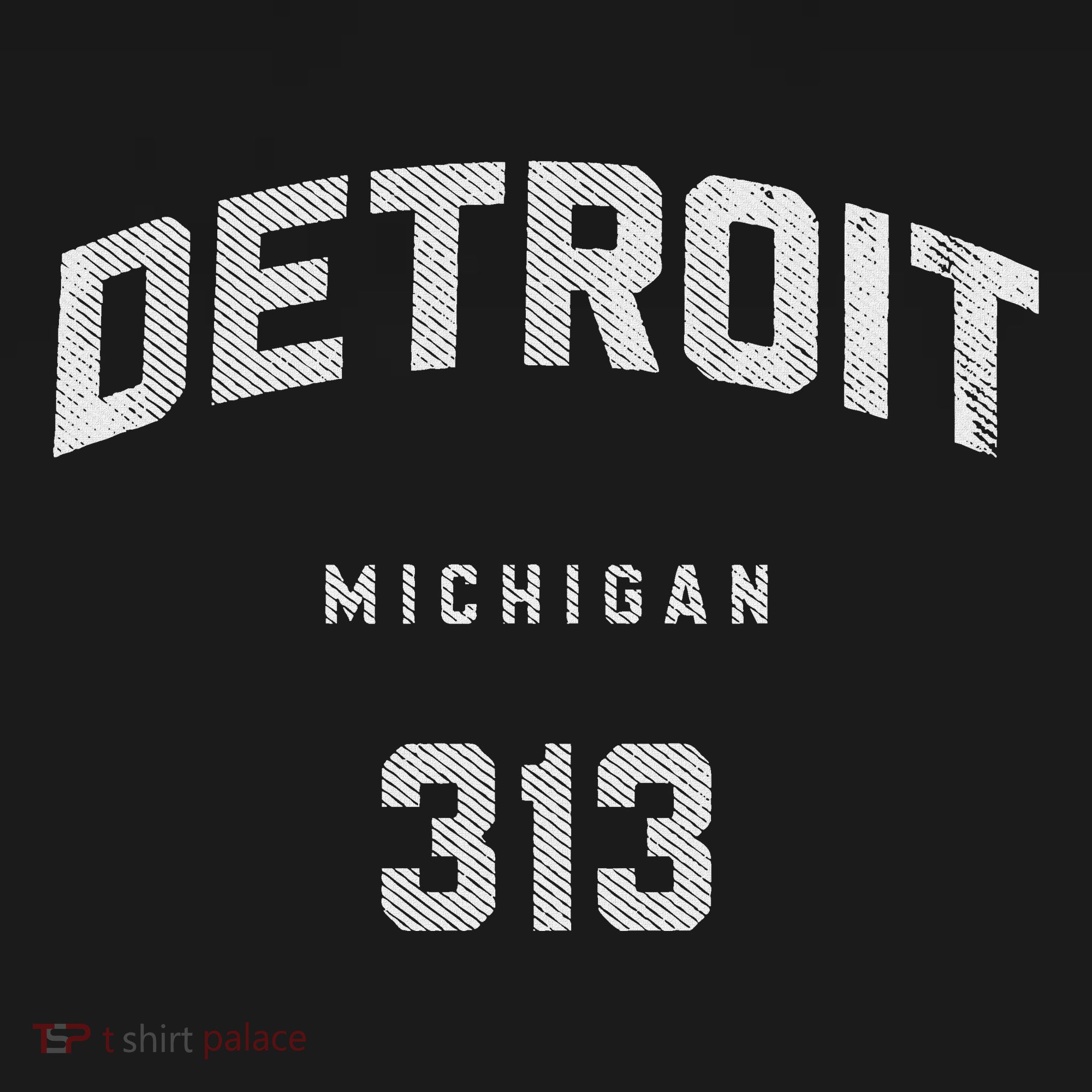 Vintage Detroit Michigan 313 Area Code Souvenir T-Shirt