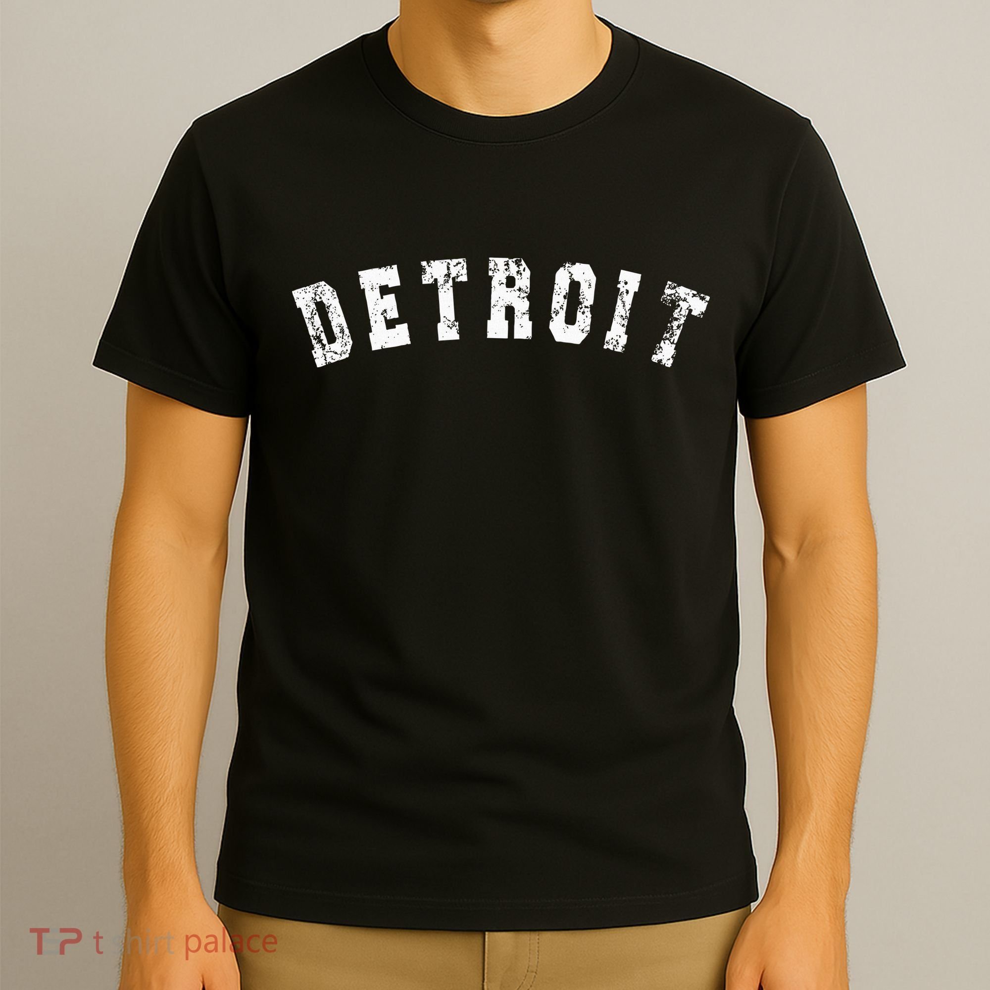Vintage Detroit Michigan Distressed Apparel T-Shirt
