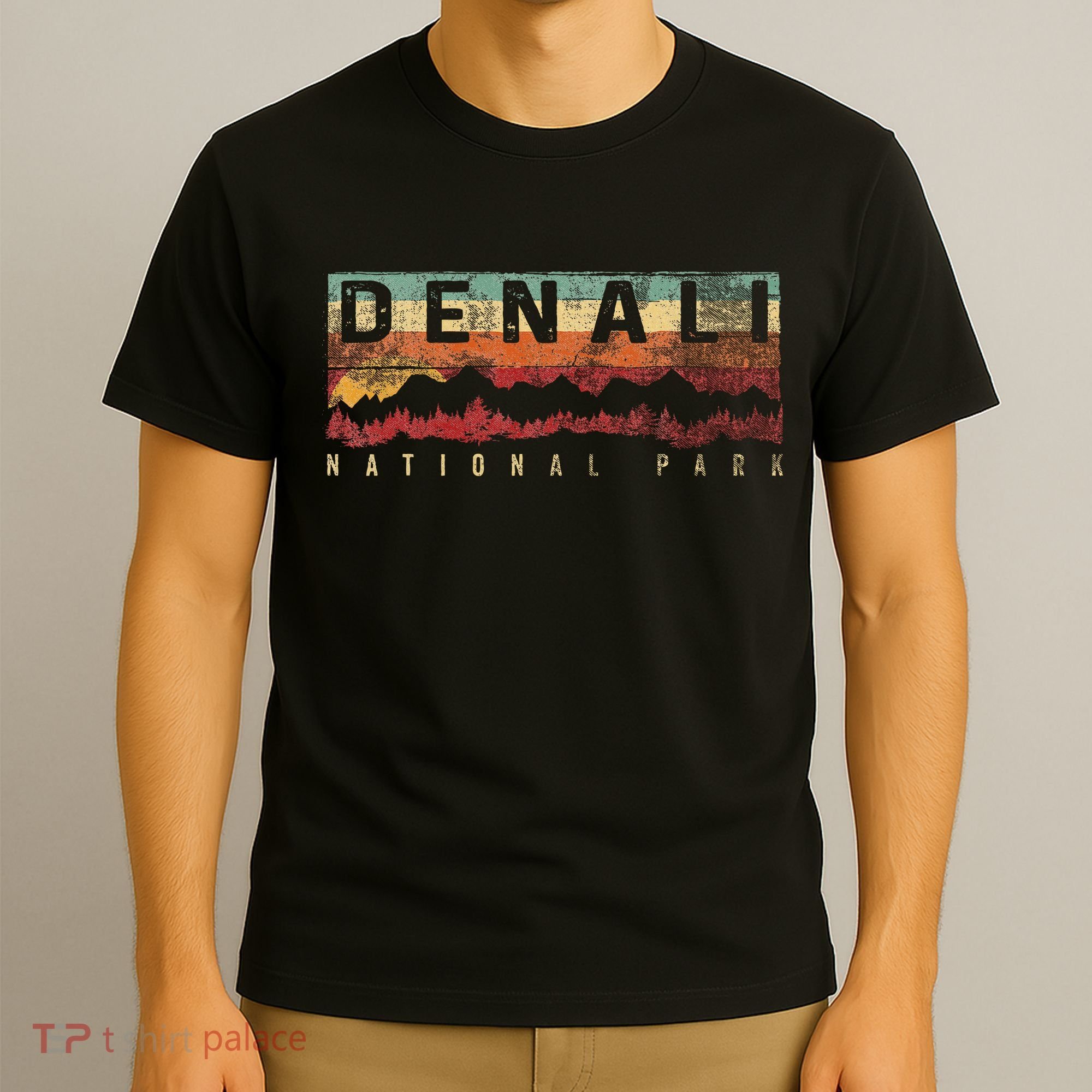 Vintage Denali National Park Denali Alaska T-Shirt