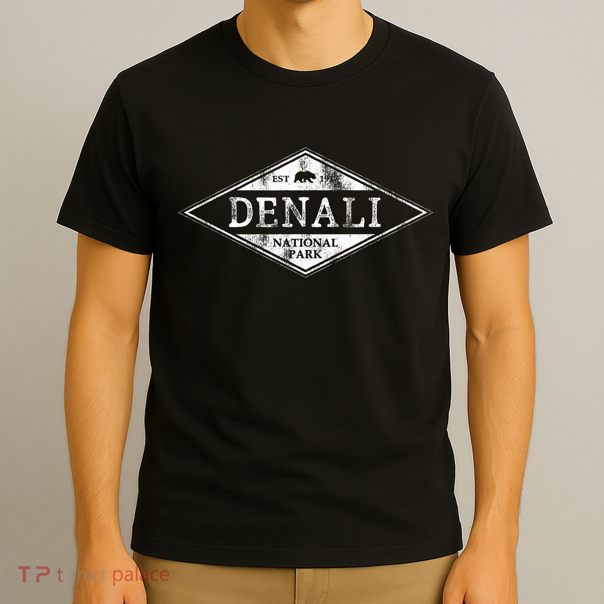 Vintage Denali National Park Alaska T-Shirt