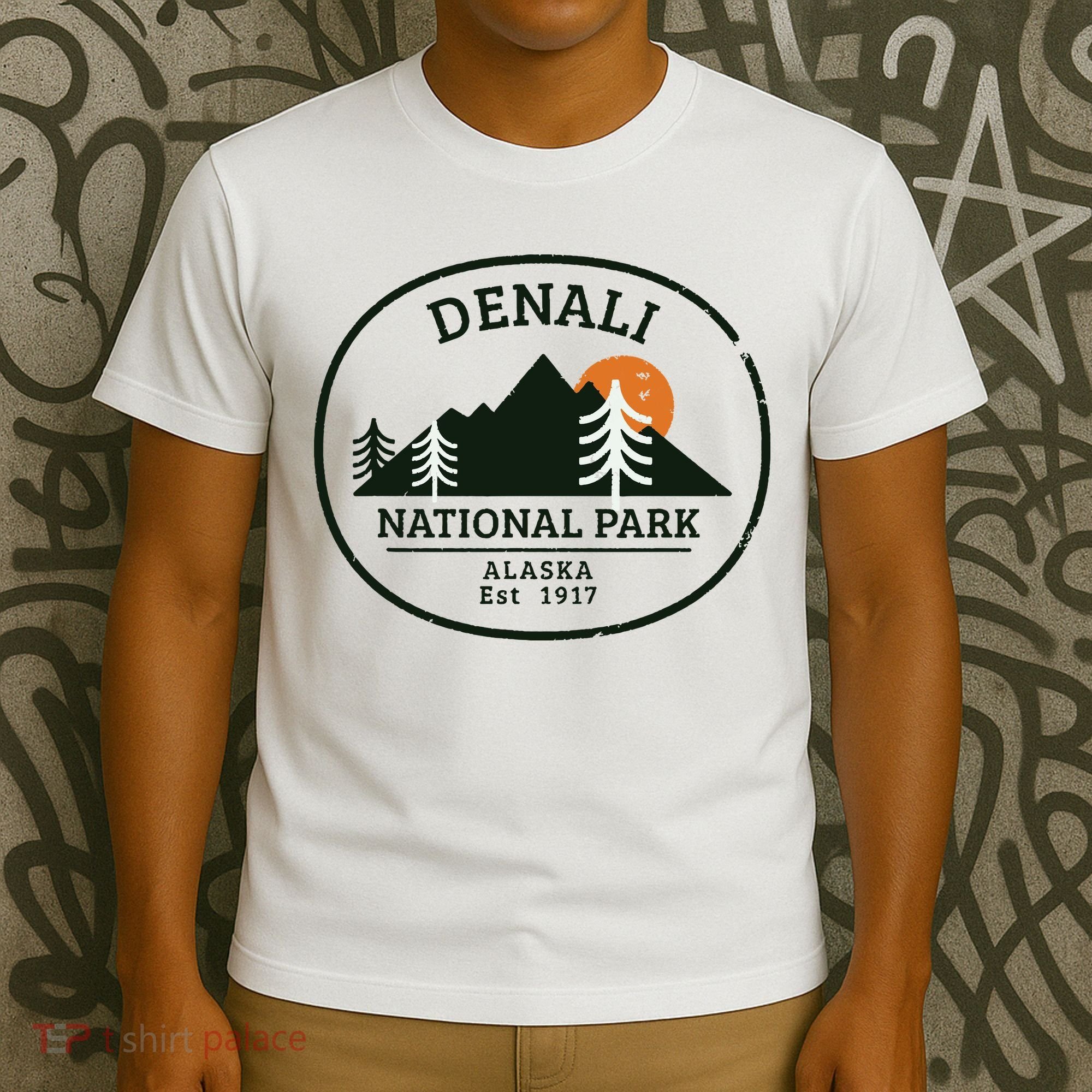 Vintage Denali National Park Alaska T-Shirt