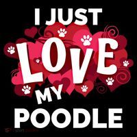 Valentine's Day Poodle Dog Love Gift Meaningful Gift Women's Hoodie thumb 2