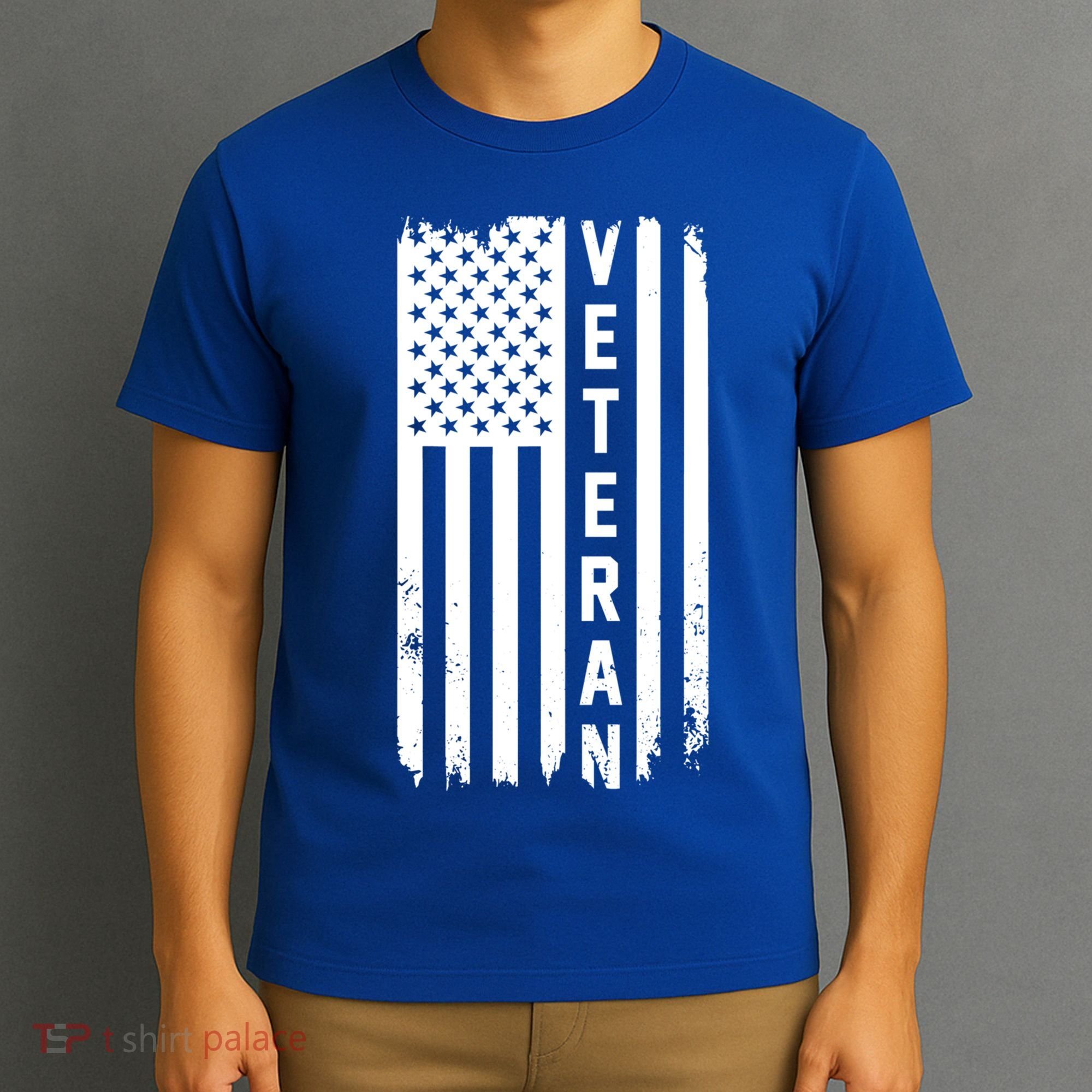 Veterans Day Us Flag Armed Forces Military Retired Gift T-Shirt
