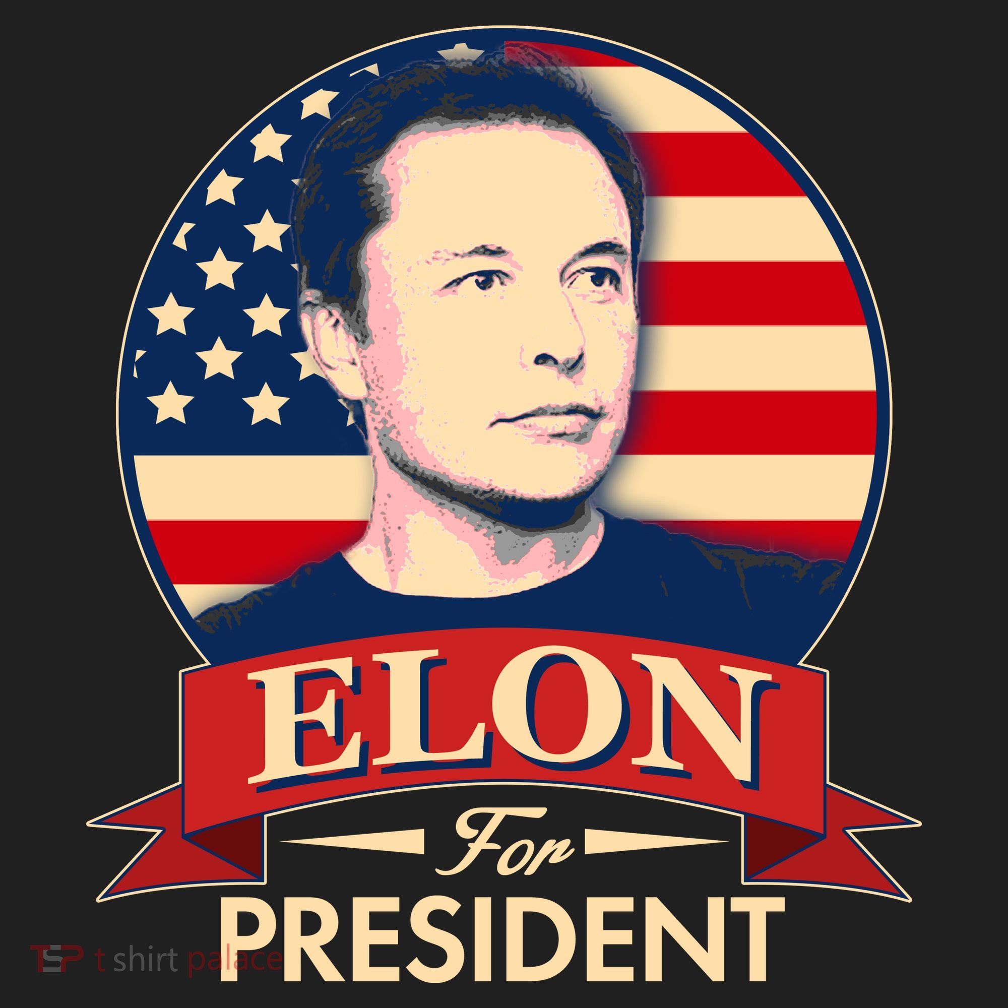 Vote Elon For President Emblem Beanie