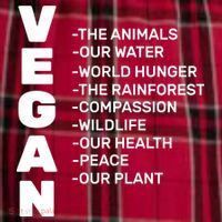 Vegan Because Of Life Men's Flannel Plaid Pajama Pants thumb 2