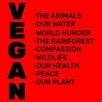 Vegan Because Of Life Santa Hat thumb 1