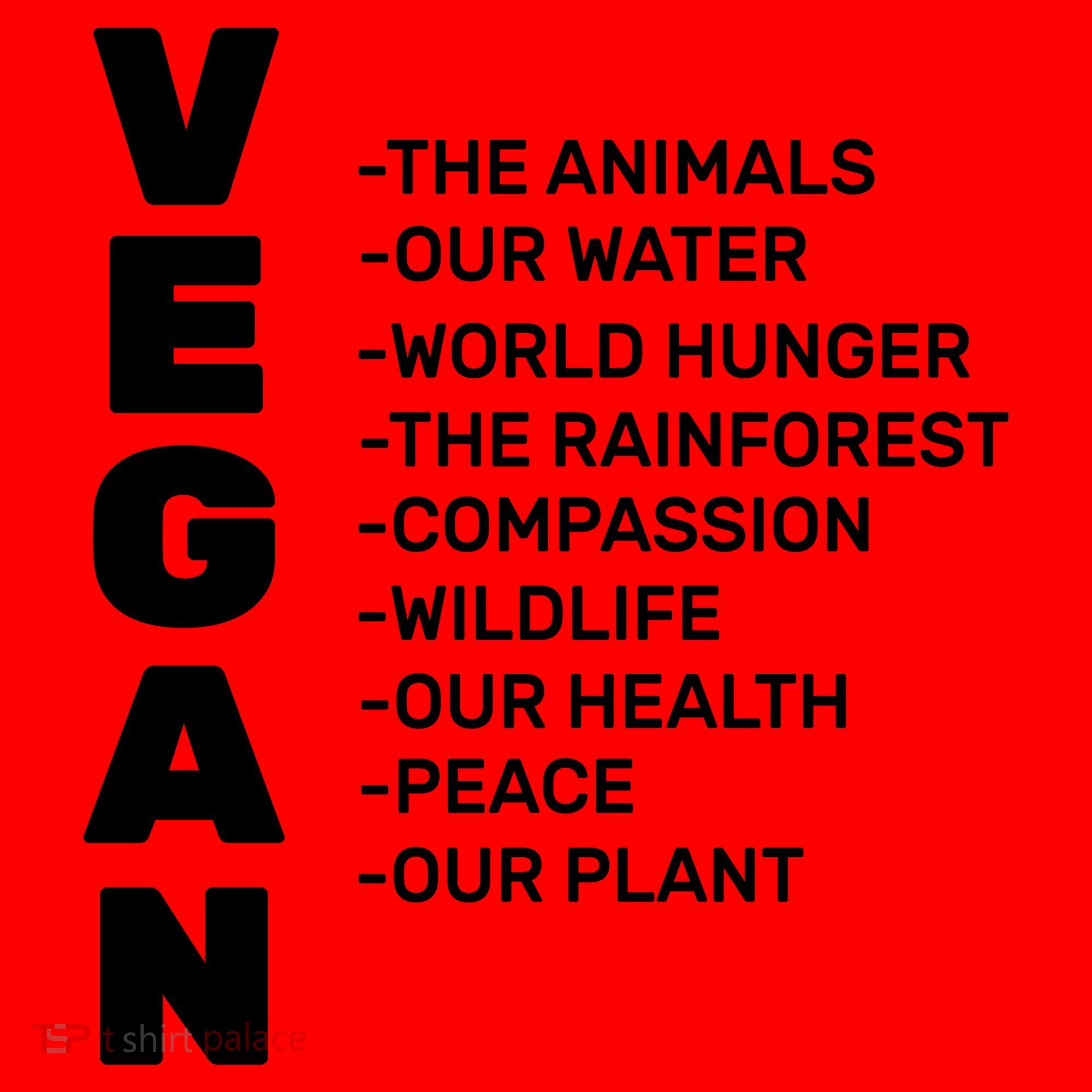 Vegan Because Of Life Santa Hat