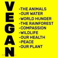 Vegan Because Of Life Button thumb 1
