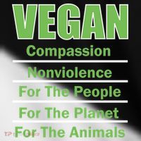 Vegan Message Toddler Fine Jersey T-Shirt thumb 2